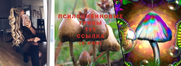 дурь Арсеньев
